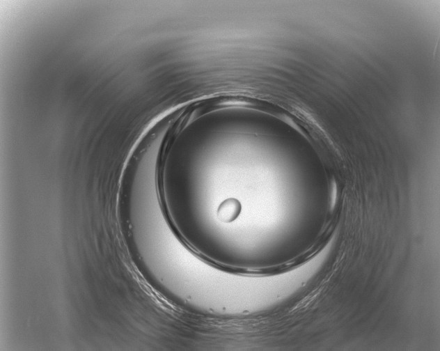 X0000061730932200512050929