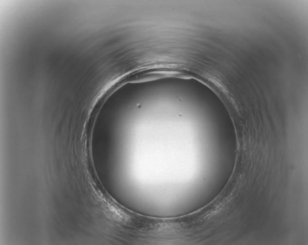 X0000061730933200512050929