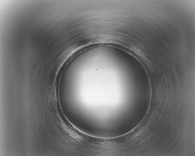 X0000061730934200512050929