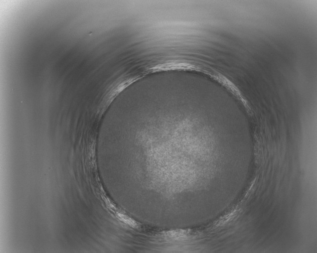 X0000061730937200512050930