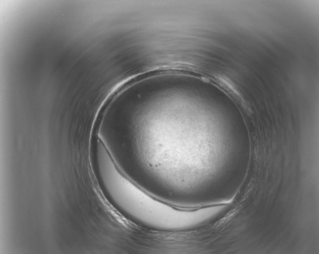 X0000061730940200512050930