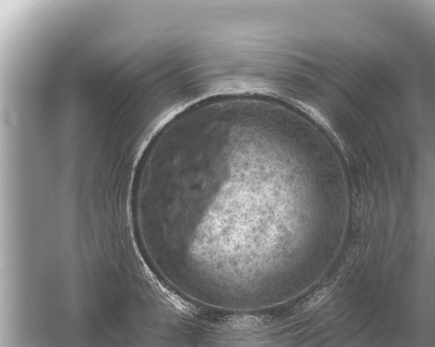 X0000061730943200512050930