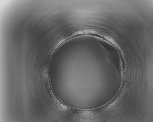 X0000061730945200512050930