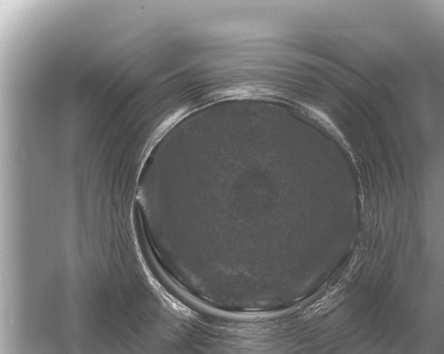 X0000061730946200512050930