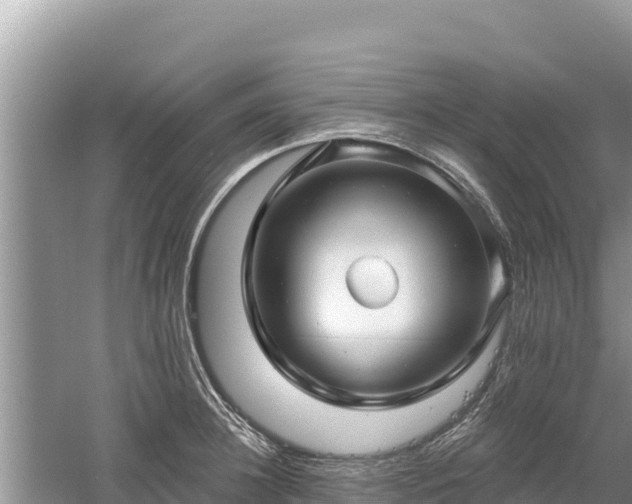 X0000061730948200512050930