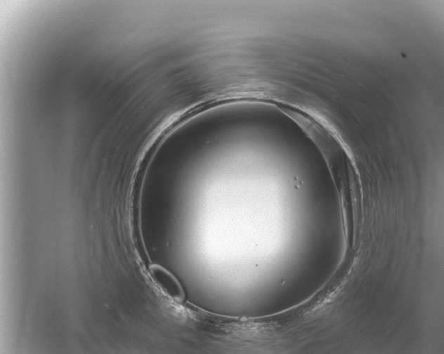 X0000061730949200512050930