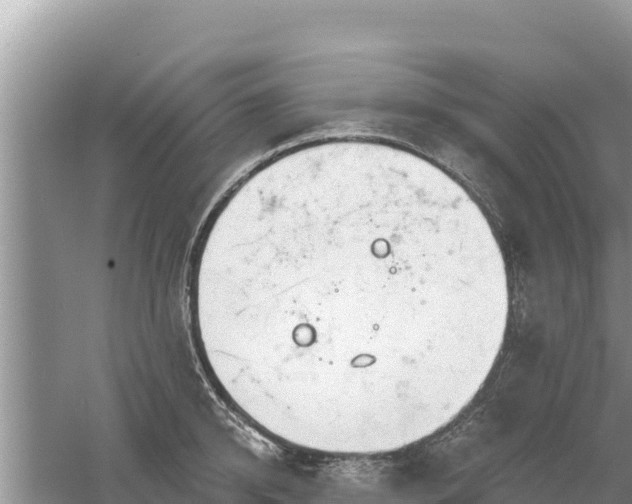 X0000061730950200512050930