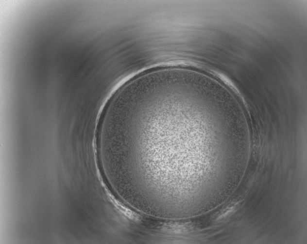 X0000061730951200512050930