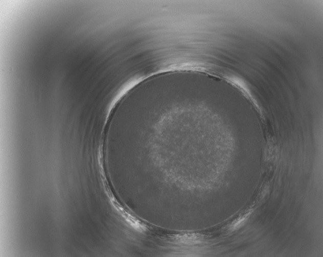 X0000061730952200512050930