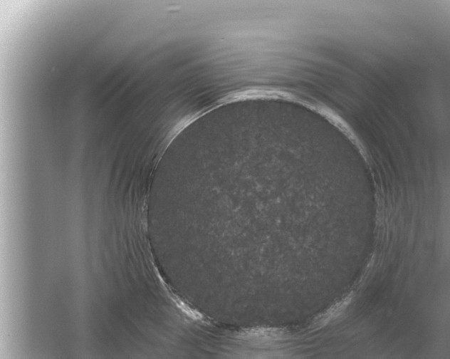 X0000061730953200512050930