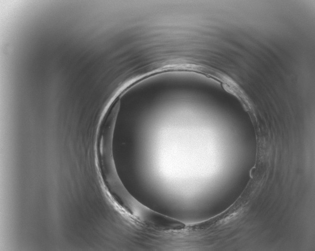 X0000061730955200512050930