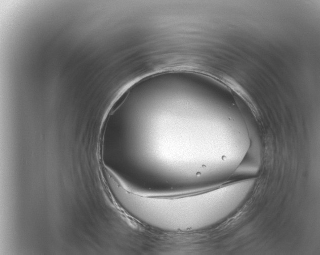 X0000061730956200512050930