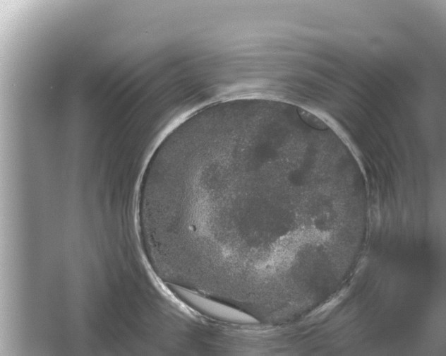 X0000061730957200512050930