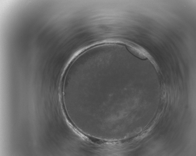 X0000061730958200512050930