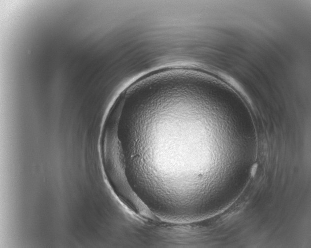 X0000061730959200512050930