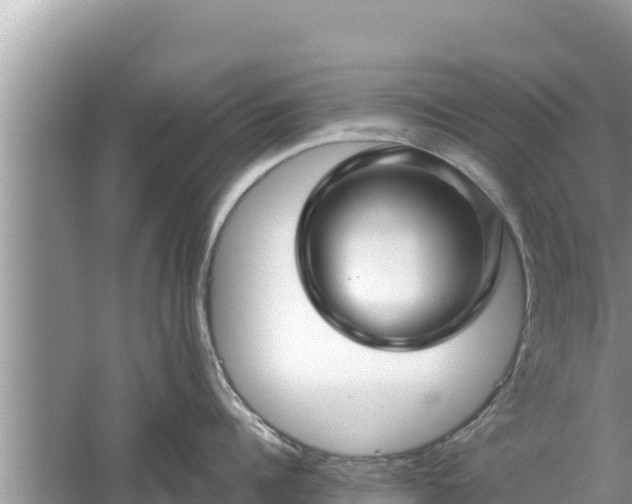 X0000061730960200512050930