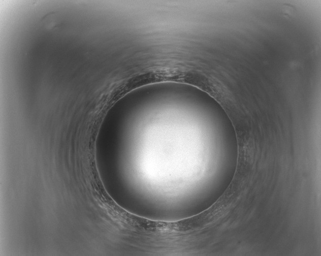 X0000061730961200512050929