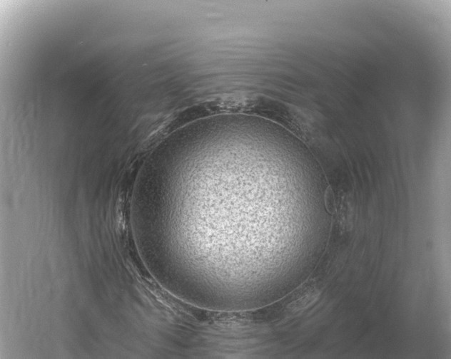 X0000061730962200512050929