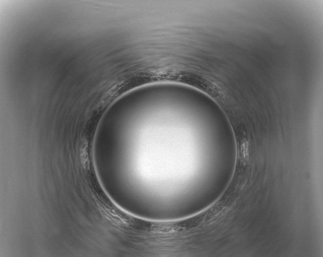 X0000061730963200512050929