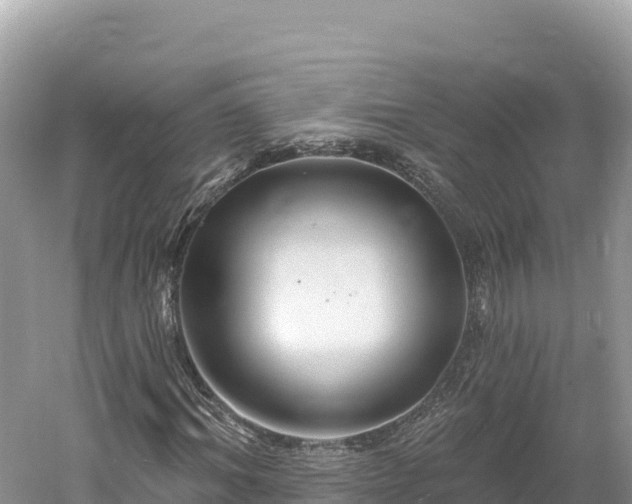 X0000061730964200512050929