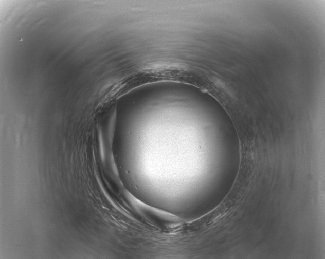 X0000061730965200512050929