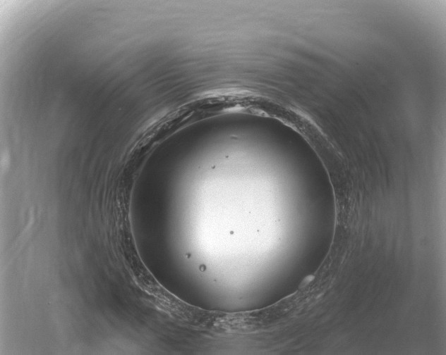 X0000061730967200512050929