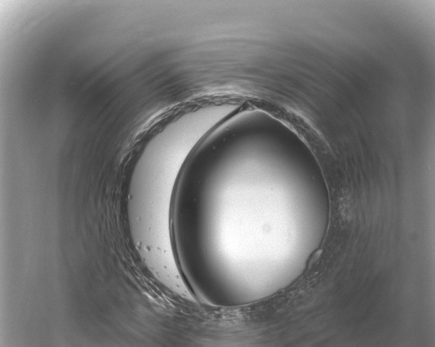 X0000061730968200512050929