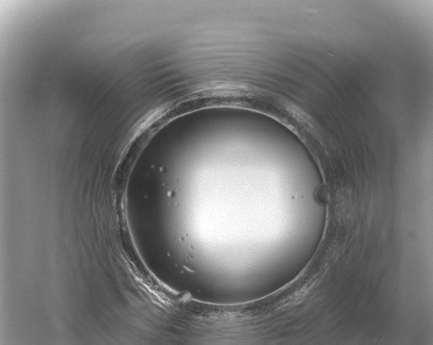 X0000061730970200512050929