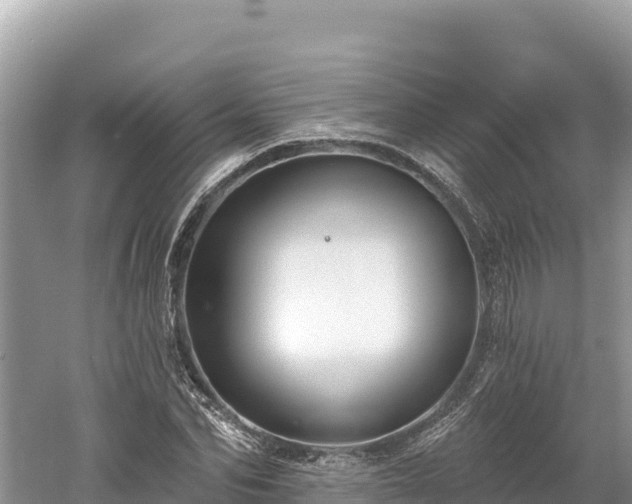 X0000061730974200512050929