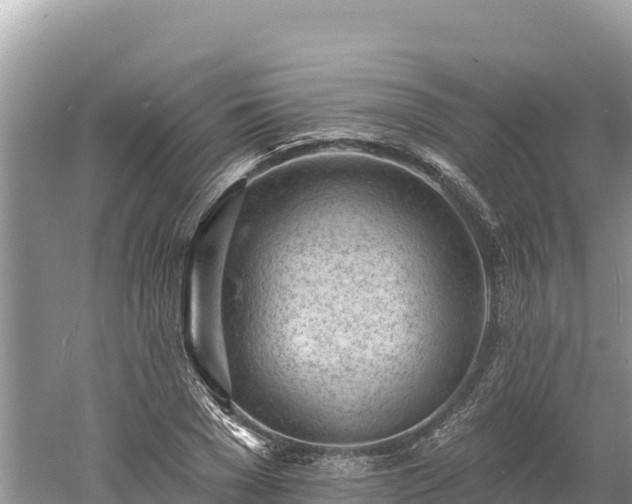 X0000061730977200512050929