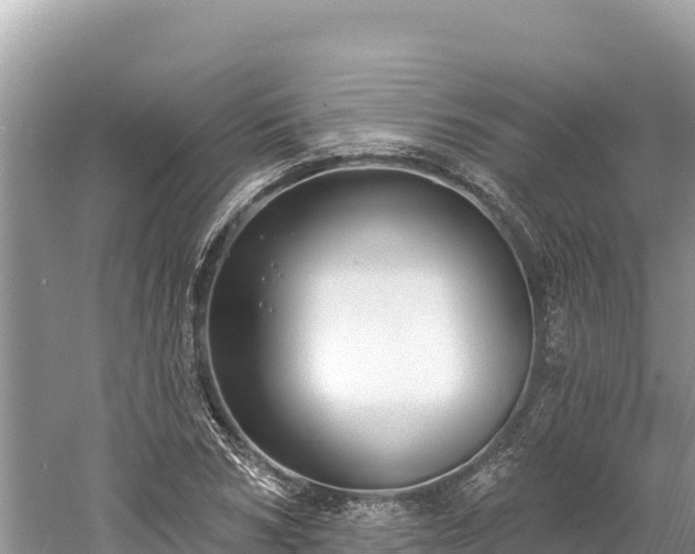 X0000061730978200512050929