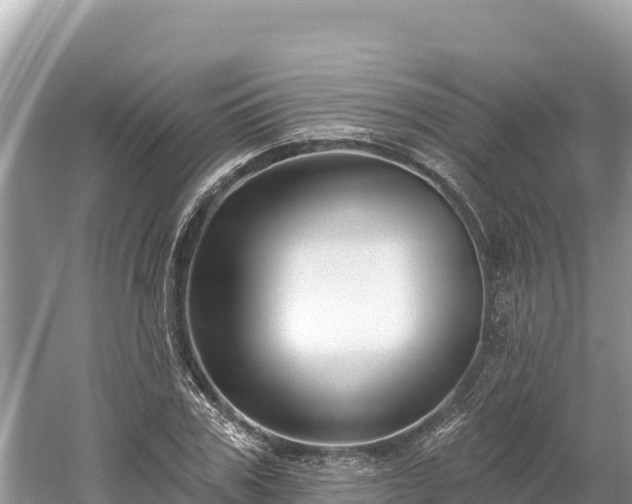 X0000061730979200512050929