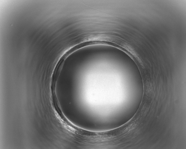 X0000061730980200512050929