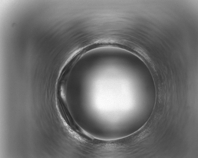 X0000061730984200512050929