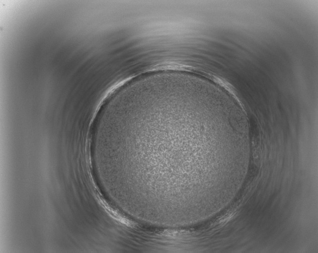 X0000061730987200512050929