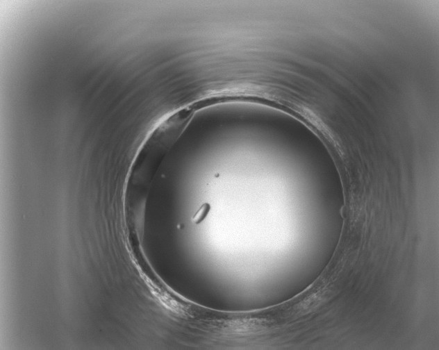 X0000061730988200512050929