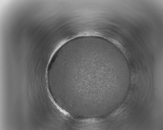 X0000061730990200512050929