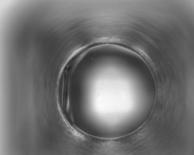 X0000061730992200512050929