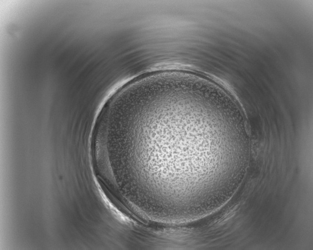 X0000061730995200512050929