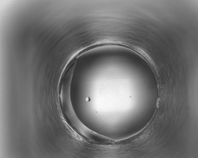 X0000061730996200512050928