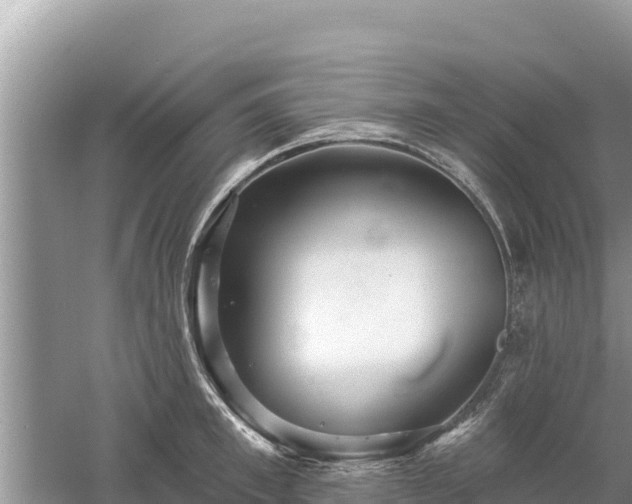 X0000061730997200512050928