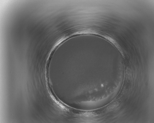 X0000061730998200512050928