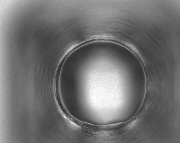 X0000061730999200512050928