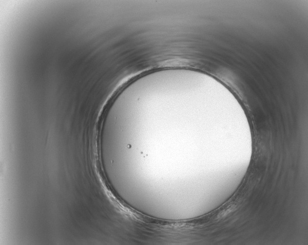 X0000061731000200512050928