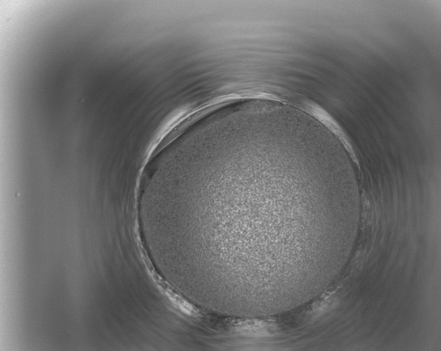 X0000061731002200512050928