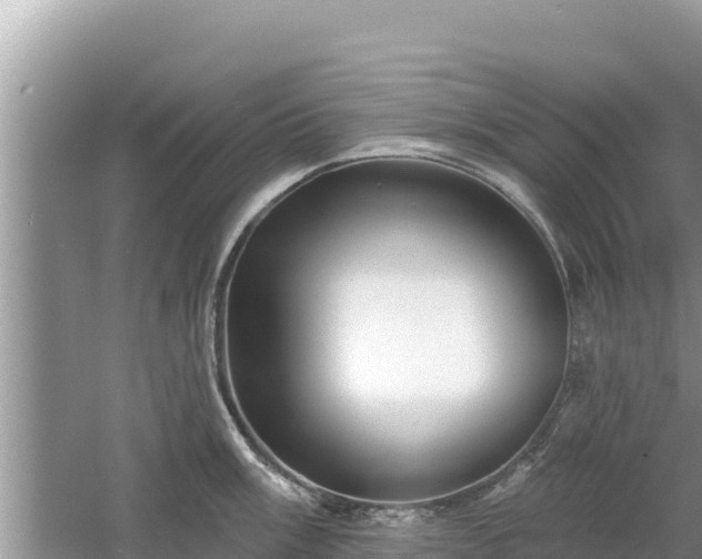 X0000061731003200512050928