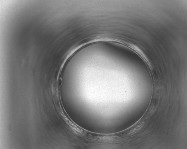 X0000061731004200512050928