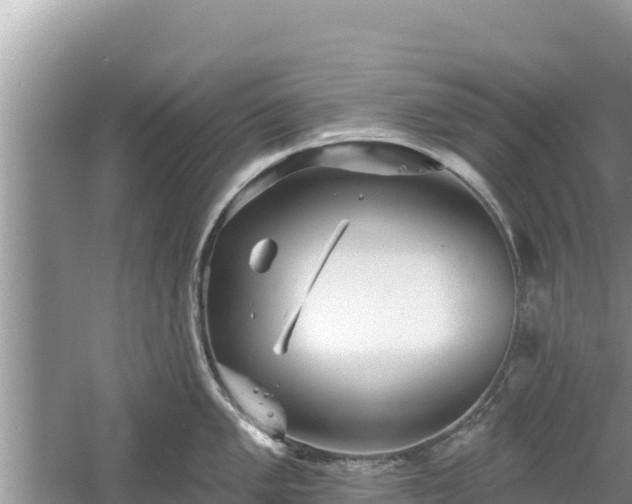 X0000061731005200512050928