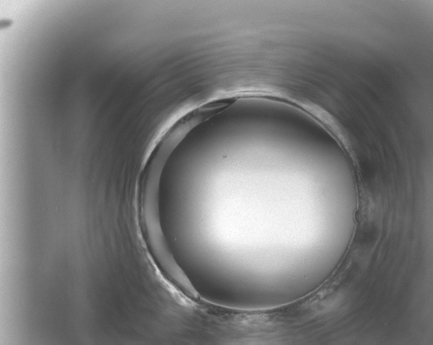 X0000061731006200512050928