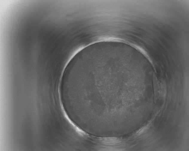 X0000061731007200512050928